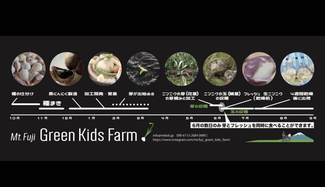 Mt.Fuji Green Kids Farm 河口湖自然栽培にんにく農園 | 河口湖自然